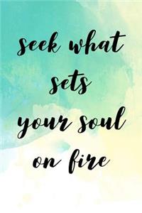 Seek What Sets Your Soul on Fire