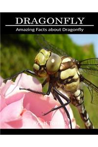 Amazing Facts about Dragonfly