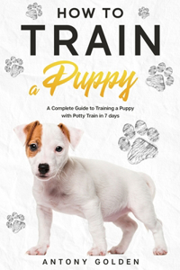 How to Train a Puppy