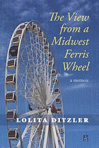 View from a Midwest Ferris Wheel