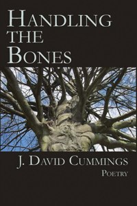 Handling the Bones