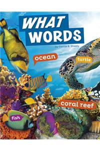 Word Play What Words