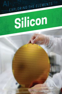 Silicon