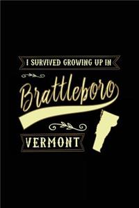 I Survived Growing Up In Brattleboro Vermont
