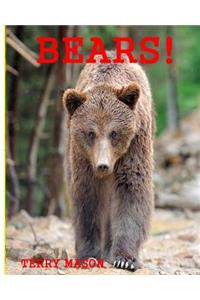 Bears