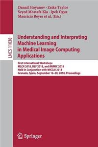 Understanding and Interpreting Machine Learning in Medical Image Computing Applications