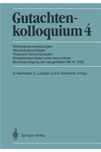 Gutachtenkolloquium 4: Wirbelsaulenverletzungen Wirbelsaulenschaden Periphere Nervenschaden Kniegelenkschaden Unter Besonderer Berucksichtigung Der Neugefassten Bk NR. 2102