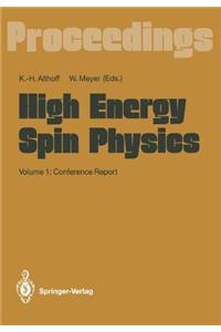 High Energy Spin Physics