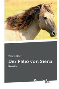 Der Palio von Siena