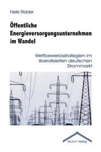 Öffentliche Energieversorgungsunternehmen im Wandel