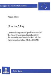 Flow Im Alltag