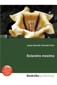 Solandra Maxima