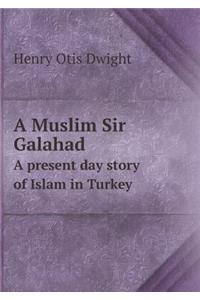 A Muslim Sir Galahad A present day story of Islam in Turkey