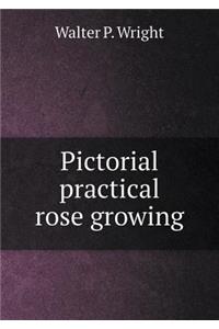 Pictorial Practical Rose Growing