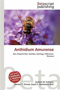 Anthidium Amurense