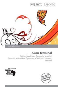 Axon Terminal