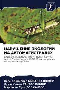 НАРУШЕНИЕ ЭКОЛОГИИ НА АВТОМАГИСТРАЛЯХ