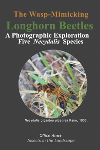 The Wasp-Mimicking Longhorn Beetles