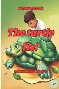 turtle fix!