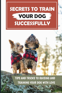 Secrets To Train Your Dog Successfully