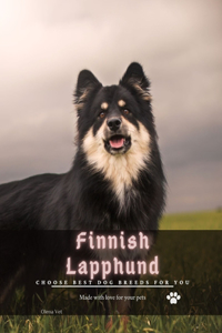 Finnish Lapphund