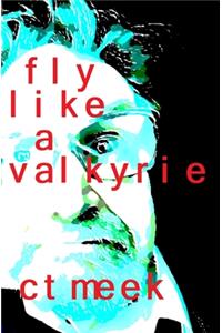 Fly Like a Valkyrie