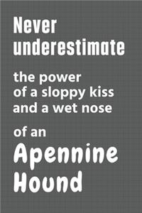 Never underestimate the power of a sloppy kiss and a wet nose of an Apennine Hound
