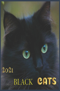 Black cats