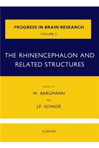 The Rhinencephalon and Related Structures