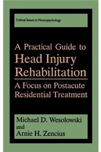 A Practical Guide to Head Injury Rehabilitation