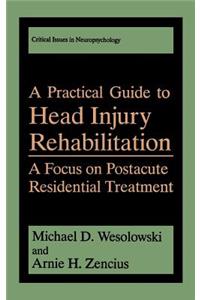 Practical Guide to Head Injury Rehabilitation