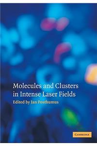 Molecules and Clusters in Intense Laser Fields