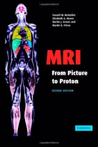 MRI from Picture to Proton