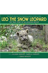 Leo the Snow Leopard