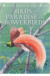 Birds of Paradise and Bowerbirds