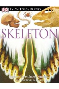 Skeleton