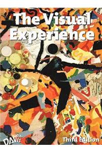 Visual Experience