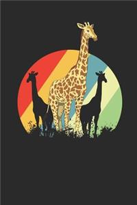 Giraffes