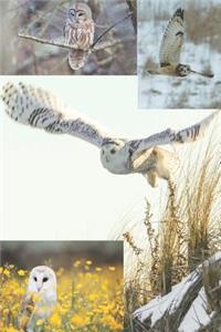 Bird Watching Log - Journal