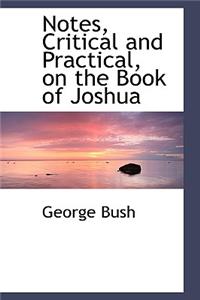 Notes, Critical and Practical, on the Book of Joshua