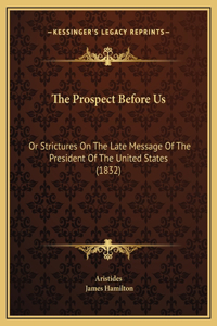 The Prospect Before Us