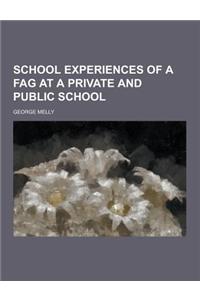 School Experiences of a Fag at a Private and Public School