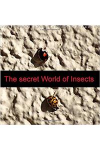 Secret World of Insects 2018