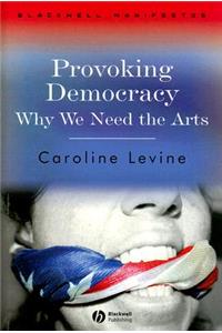 Provoking Democracy