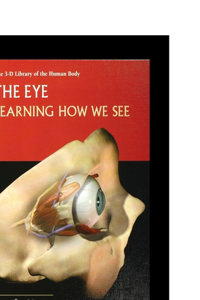 Eye