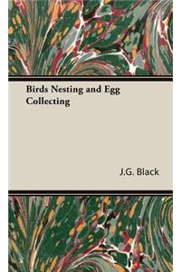 Birds Nesting and Egg Collecting