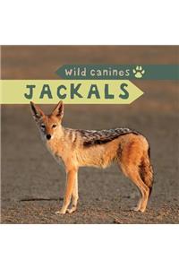 Jackals