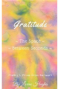 Gratitude The Space Between Seconds