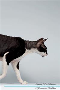 Cornish Rex Affirmations Workbook Cornish Rex Presents