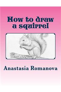 How to draw a squirrel